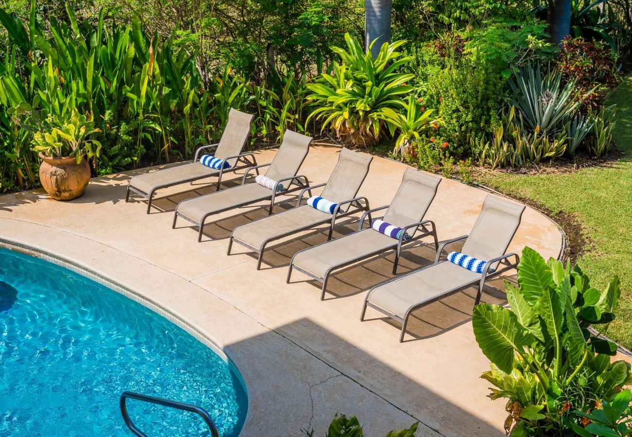 Villa in Potrero - Potrero Beachfront Villa with Pool & Private Chef - Casa Royal