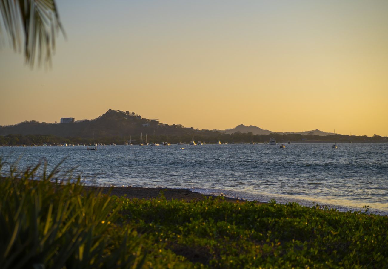 Villa in Potrero - Beachfront Estate | Private Chef, 9 BR, Sleeps 26 - Casa Taj