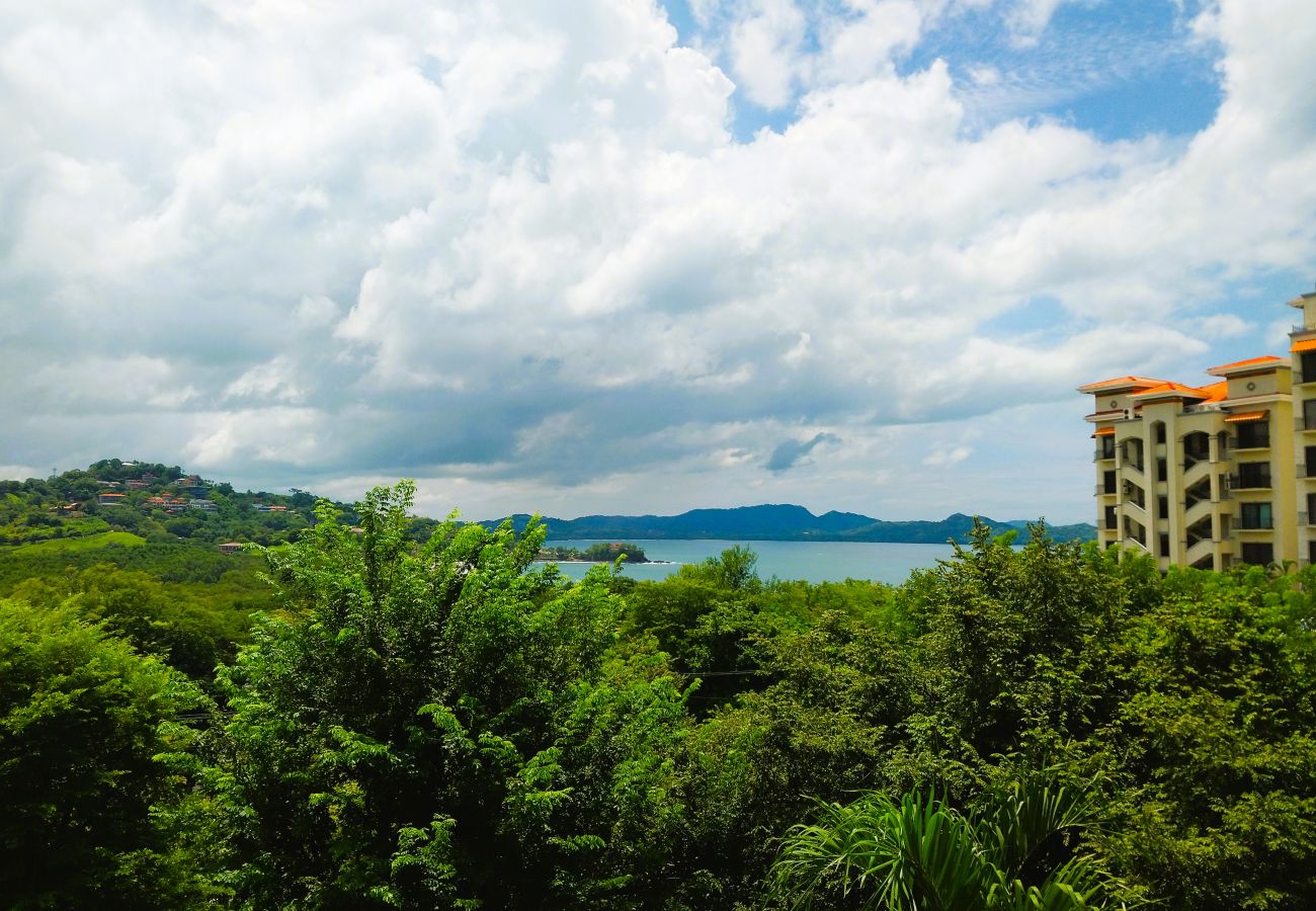 Residenz in Playa Flamingo - 5mins to Marina-Oceanview-Full Kitchen-Pool-AC-Gym – Presidential Suites 4