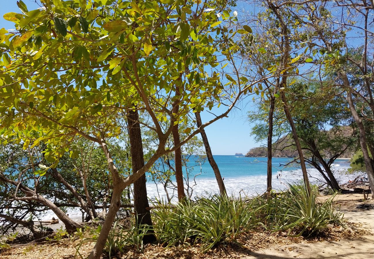 Studio in Las Catalinas - Las Catalinas - Loft up to 4 people walk to beach – Loft 22