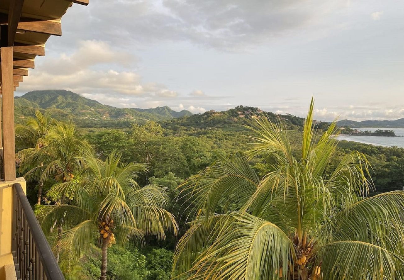Residenz in Playa Flamingo - Playa Flamingo: beautiful spacious condo, everything in walking distance - Presidential Suites 17