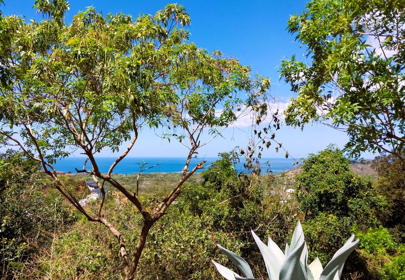 Villa en Playa Flamingo - Mar Vista Villa-sleeps 16-infinity pool-Ocean View - luxury Casa de Iluminacion