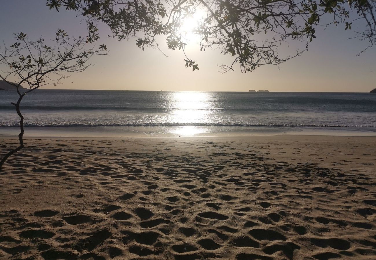 Residencial en Potrero - Oceanview Condo with Pool, Near Playa Prieta, 2BR - Vida de la Paz 4