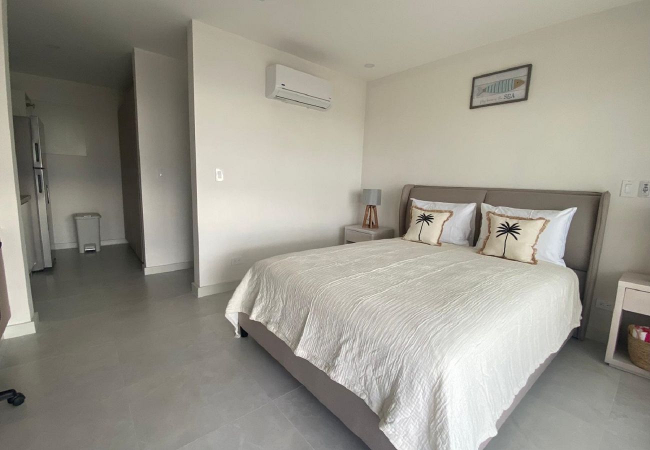 Estudio en Playa Flamingo - Playa Flamingo: lovely Ocean view Studio Ayla - D