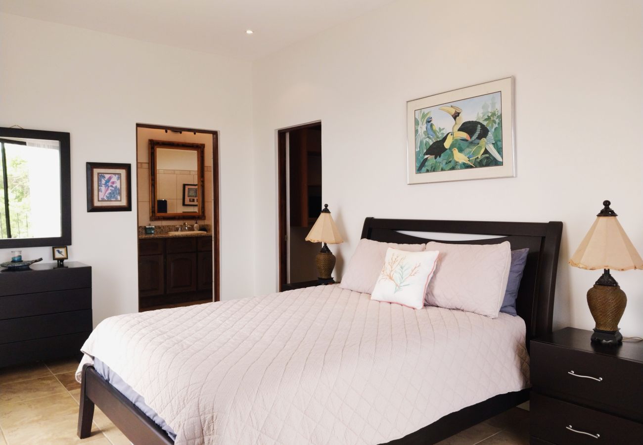 Casa en Potrero - Housekeeping•BBQ•Pool•4 TVs•Garden•Oceanview villa: Casa Sol Azul