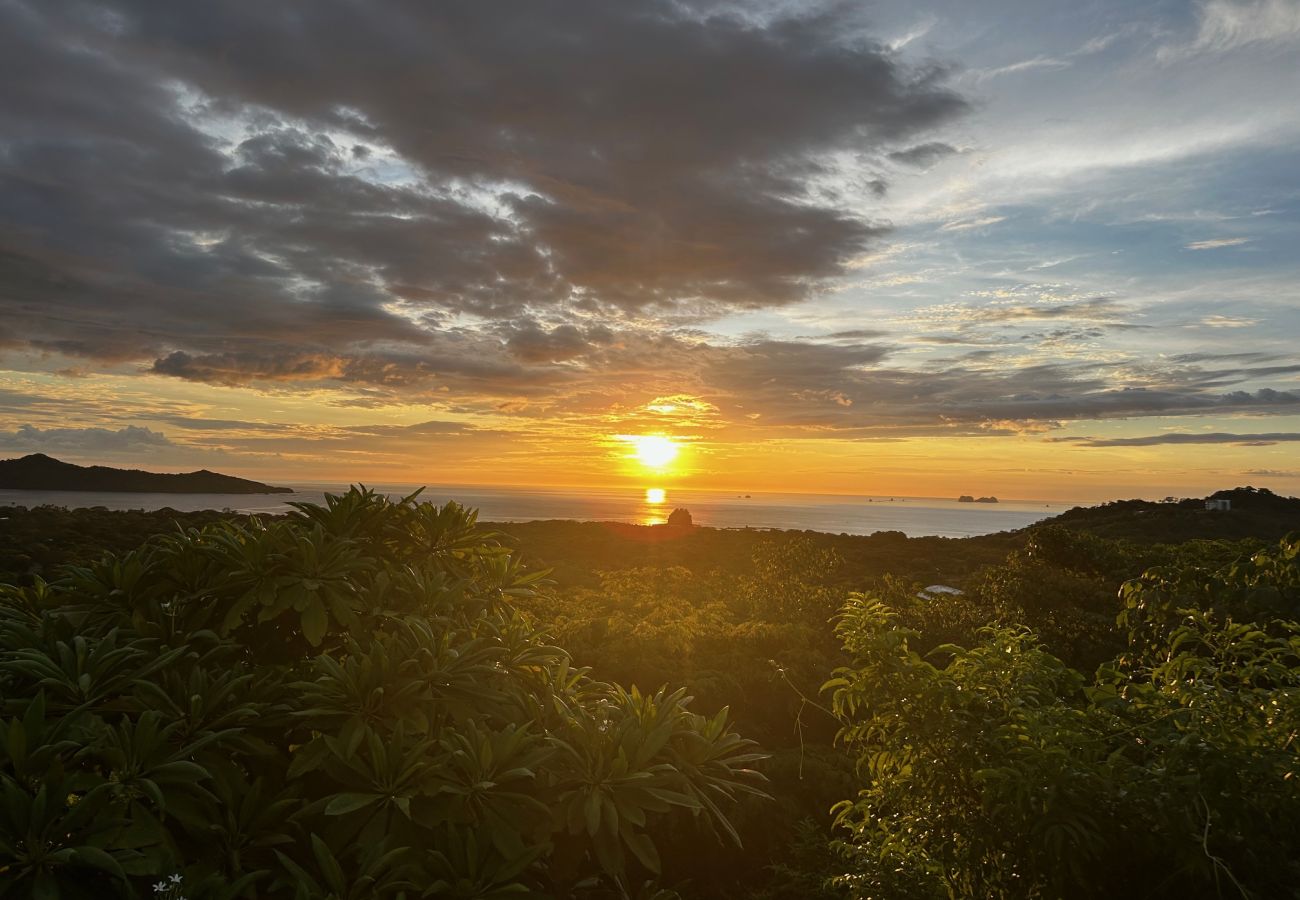 Casa en Playa Flamingo - Luxury 5BR Oasis with Panoramic Ocean Views & Pool - Casa Vista Contenta Mainhouse