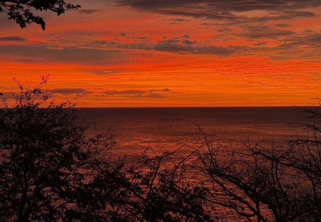 Villa en Playa Flamingo - Luxury Oceanfront Villa•Sunset Views•Beach Access - Casa Dos Monos