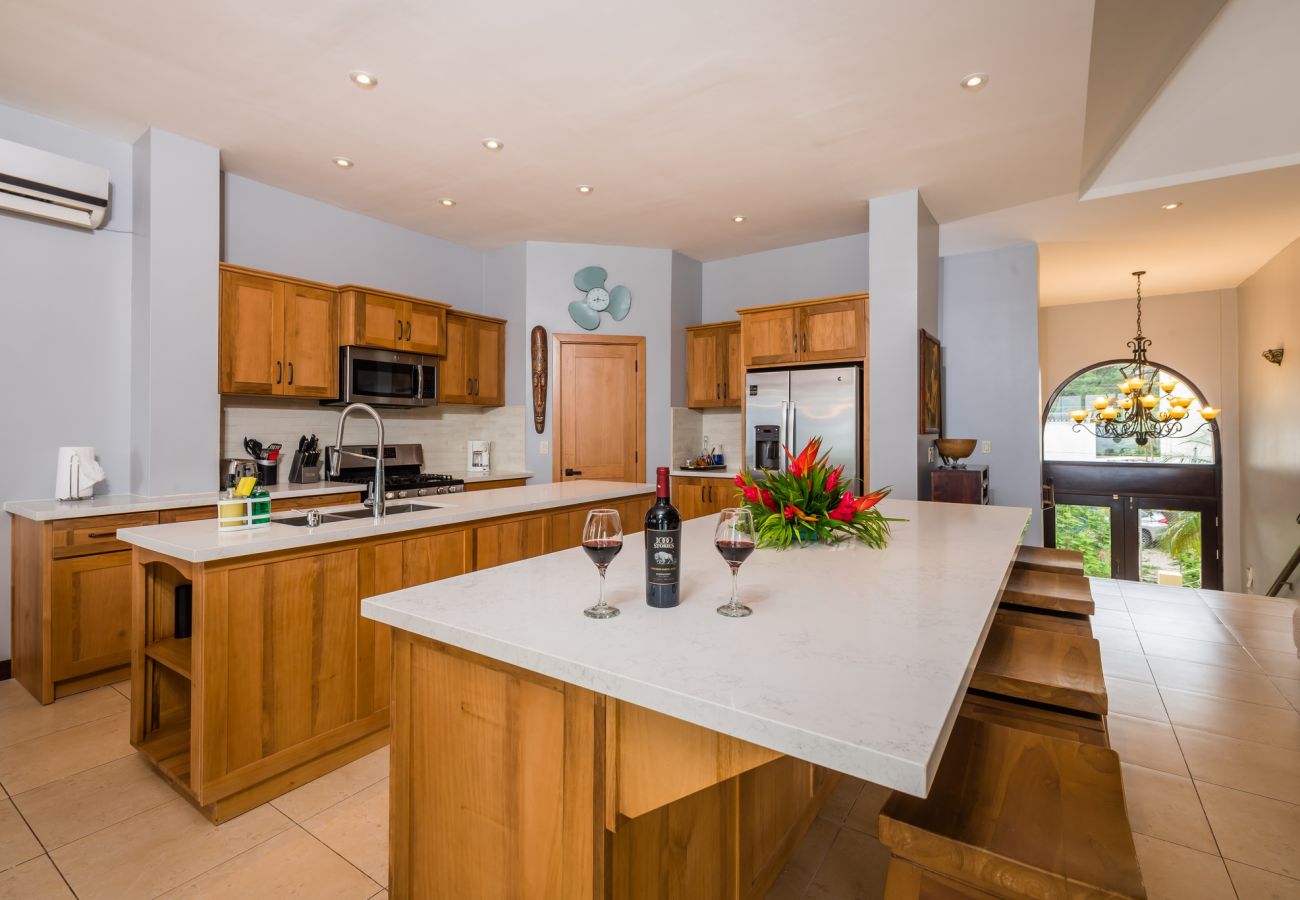 Villa in Potrero - Potrero Beachfront Villa with Pool & Private Chef - Casa Royal