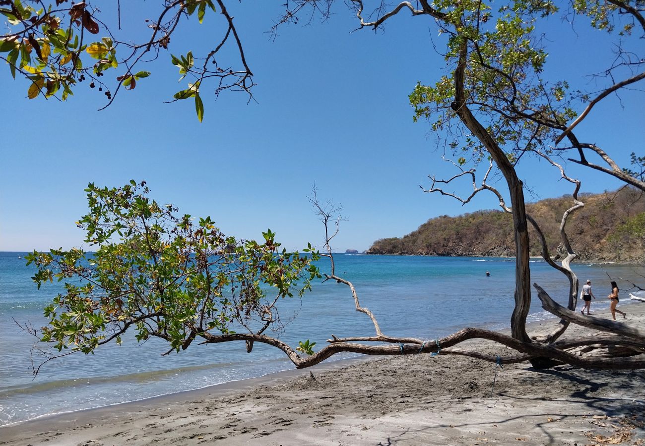 House in Las Catalinas - Oceanfront•Sleeps 6•Full Kitchen•BBQ•Pool•Balcony - Alouatta Guesthouse