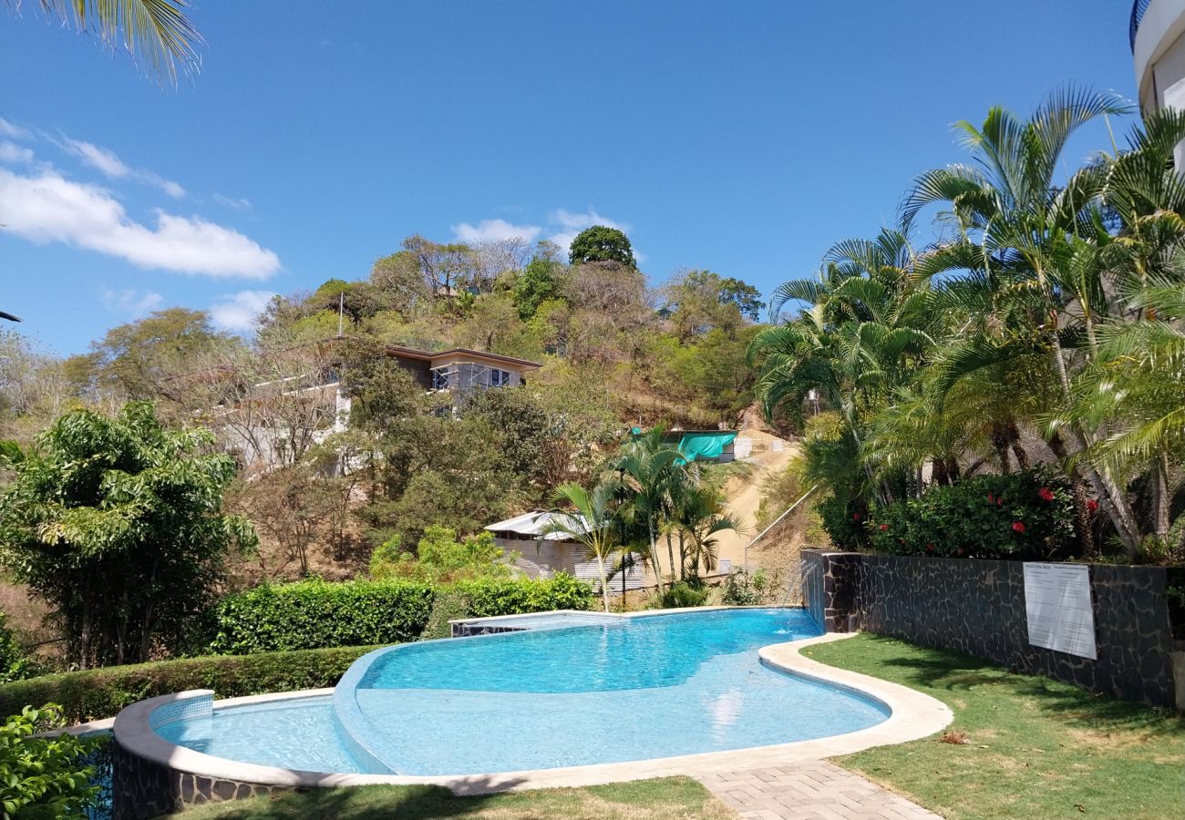 Condominium in Playa Flamingo - Oceanview•Balcony•2 Pools•Parking•Kitchen•Washer/D - Flamingo Towers 17