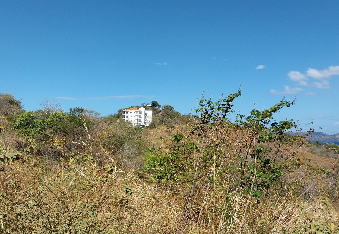 Condominium in Playa Flamingo - Oceanview•Balcony•2 Pools•Parking•Kitchen•Washer/D - Flamingo Towers 17