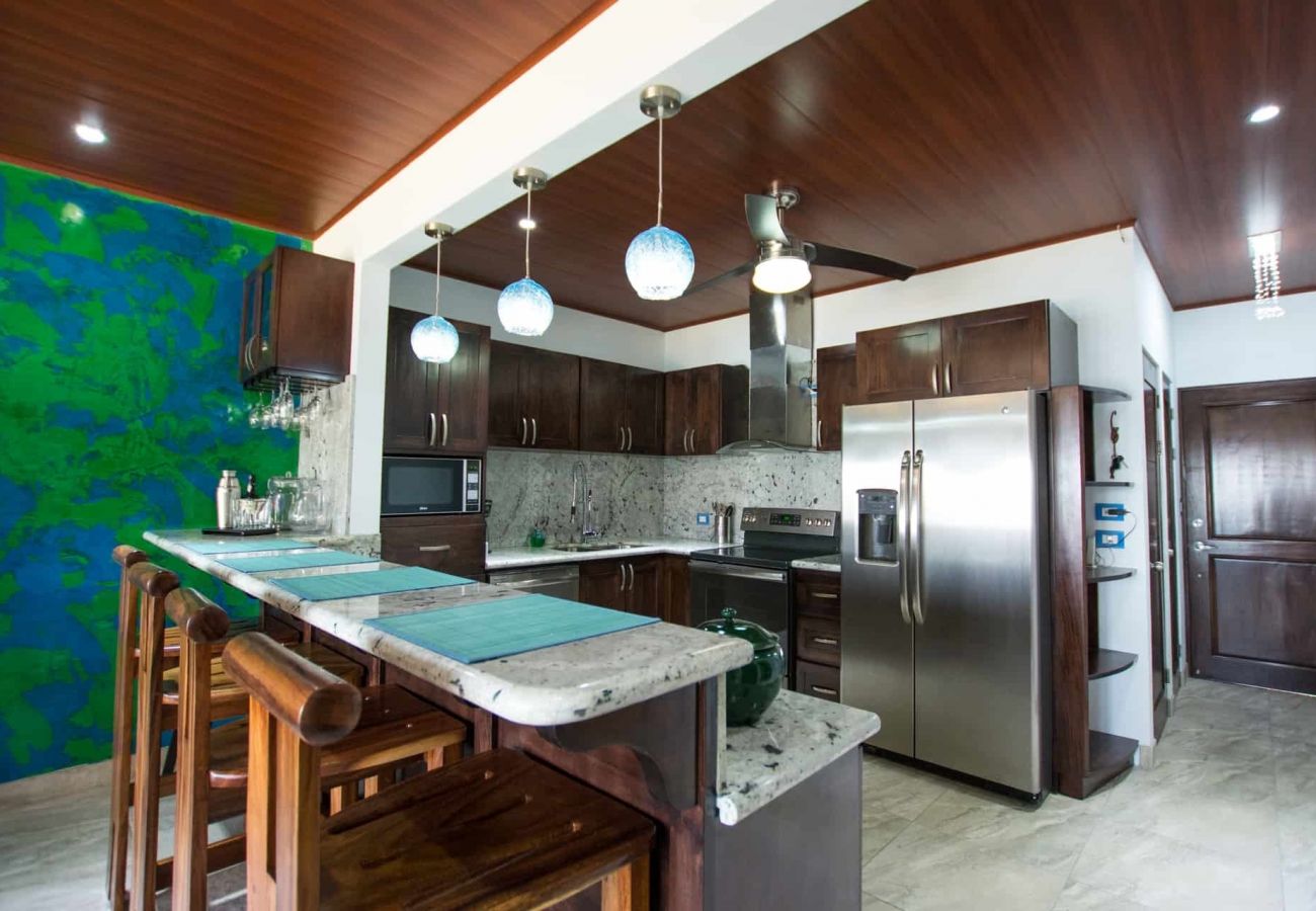 Condominium in Playa Flamingo - Flamingo Center: 2 BR condo w| gorgeous bay views - Punta Plata 521