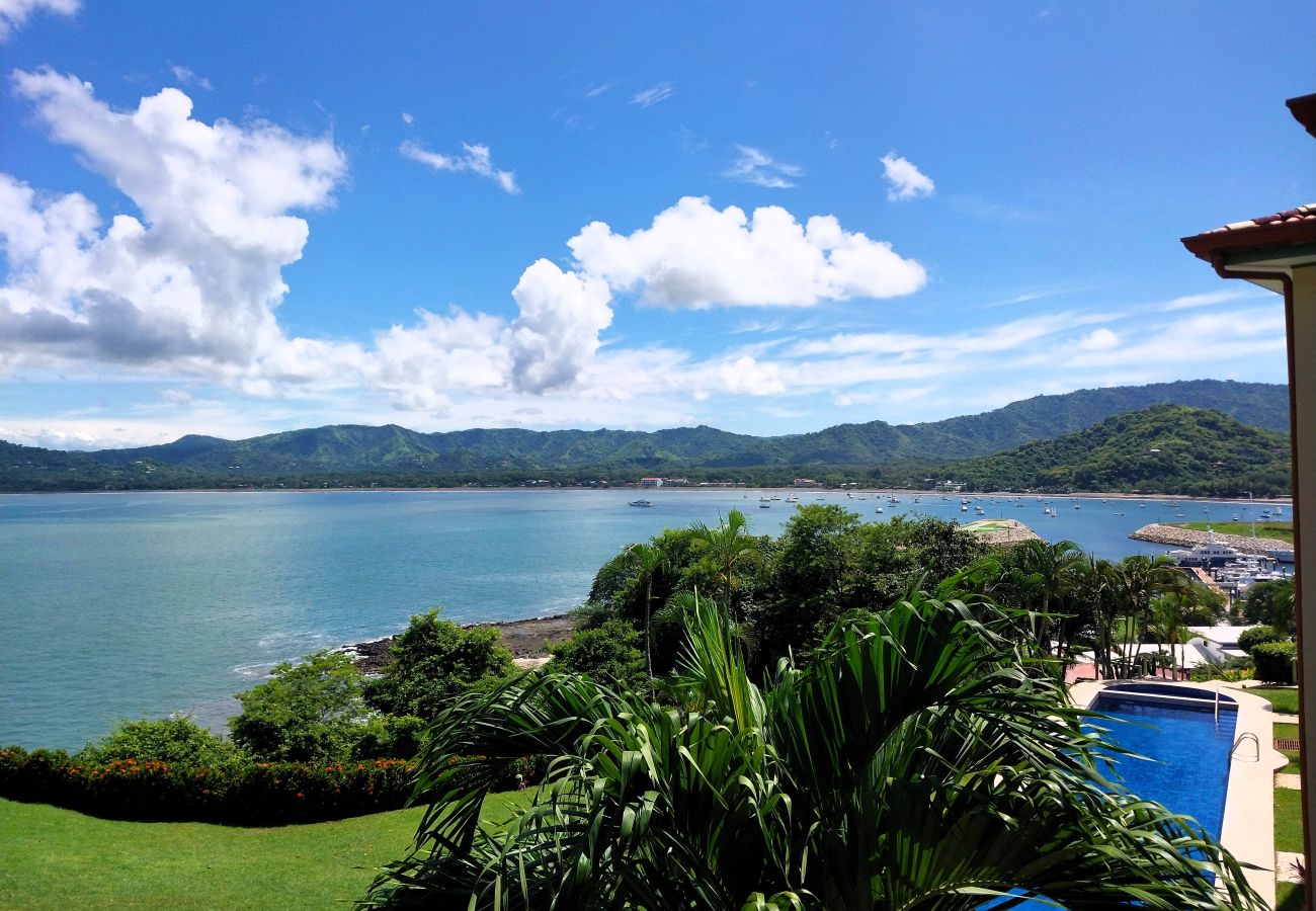 Condominium in Playa Flamingo - Flamingo Center: 2 BR condo w| gorgeous bay views - Punta Plata 521