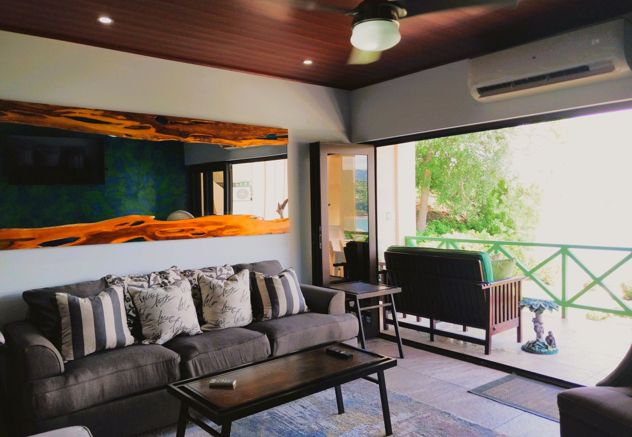 Condominium in Playa Flamingo - Flamingo Center: 2 BR condo w| gorgeous bay views - Punta Plata 521