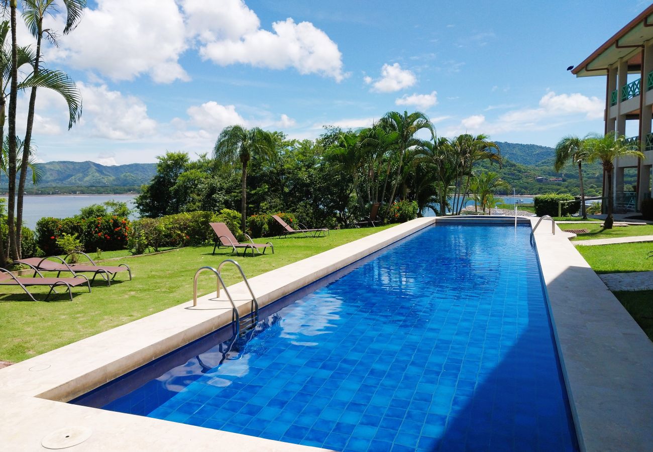 Condominium in Playa Flamingo - Flamingo Center: 2 BR condo w| gorgeous bay views - Punta Plata 521