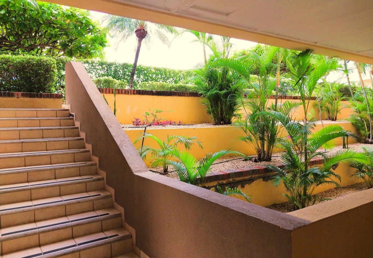 Condominium in Playa Flamingo - 5mins to Marina-Oceanview-Full Kitchen-Pool-AC-Gym – Presidential Suites 4