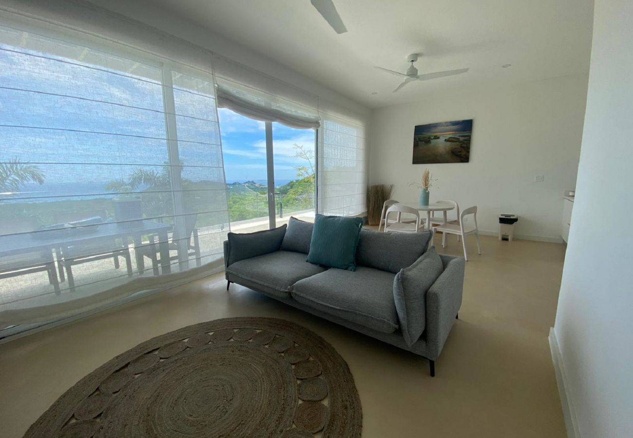 House in Playa Flamingo - 2 BR Home in Mar Vista-Pool-Balcony-Ocean View-BBQ: Casa Ayla B