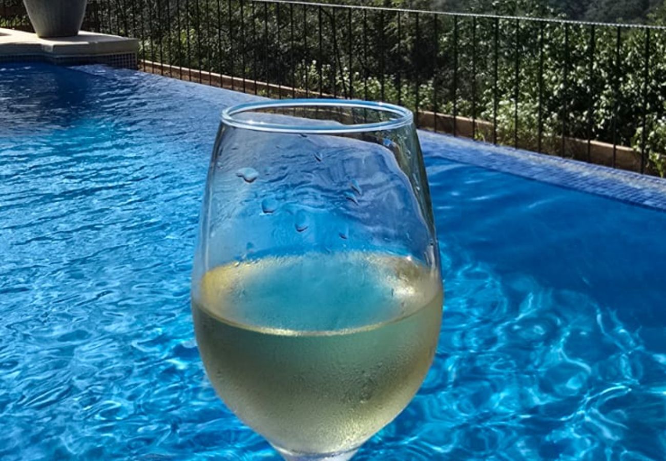 House in Potrero - Housekeeping•BBQ•Pool•4 TVs•Garden•Oceanview villa: Casa Sol Azul